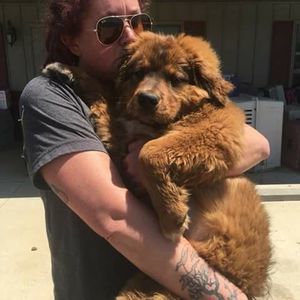 Meet your Posher, Leigh